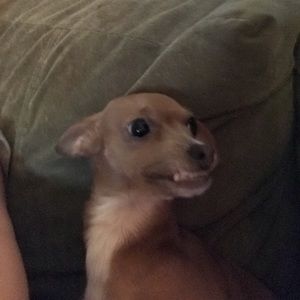 Meet your Posher, Cammie